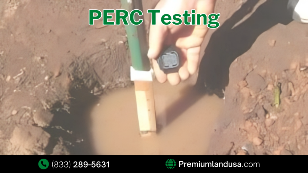 PERC Testing: What Is It and How Much Does It Cost?