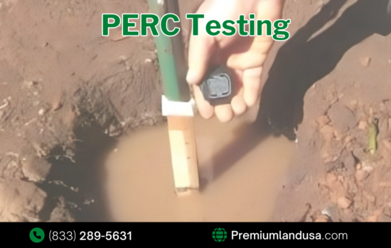 PERC Testing: What Is It and How Much Does It Cost?