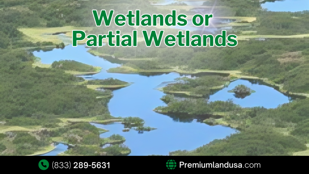 What If My Property Is Located in Wetlands or Partial Wetlands? Can I Build on Wetlands?